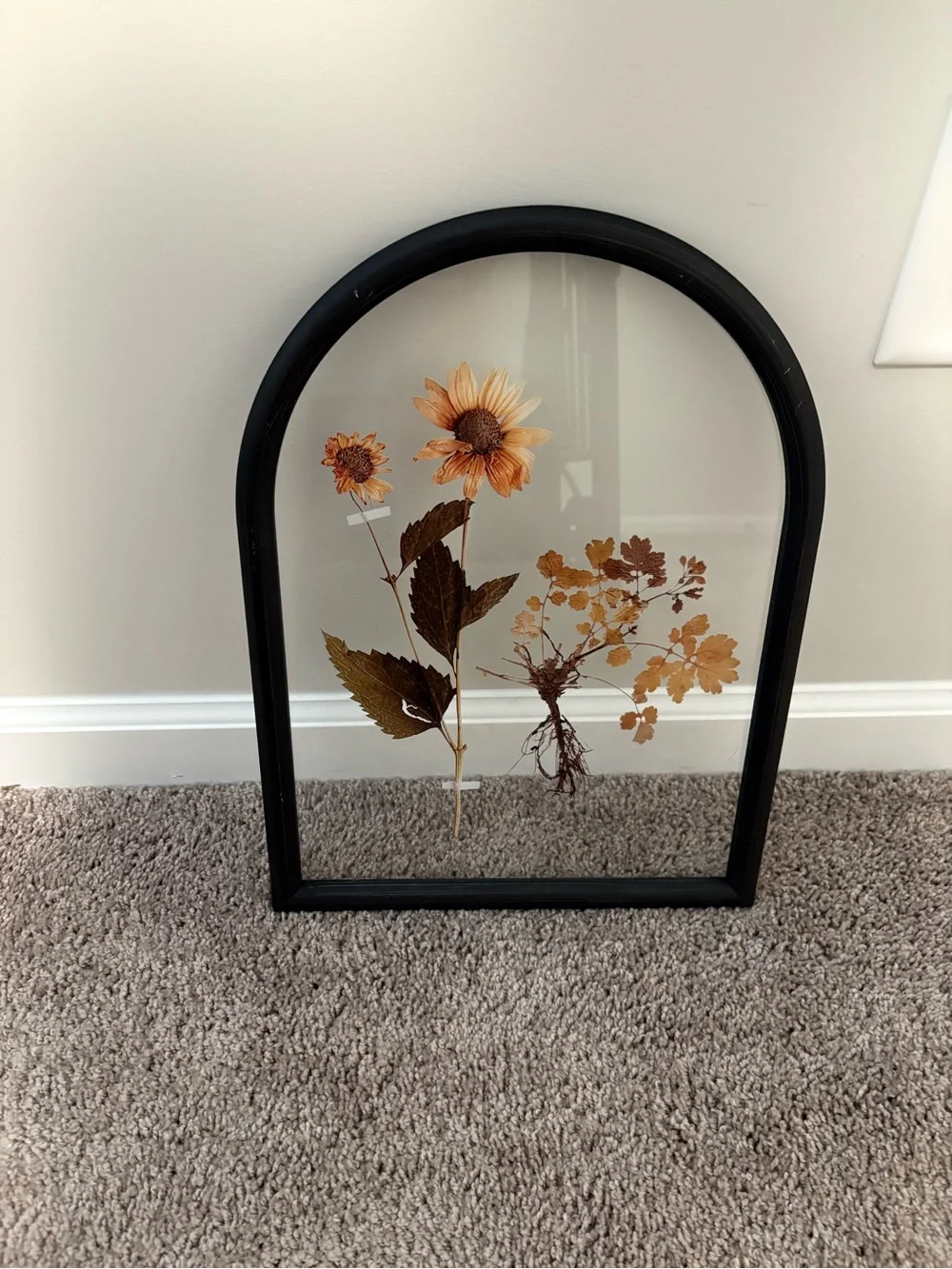 Hobby Lobby arched black